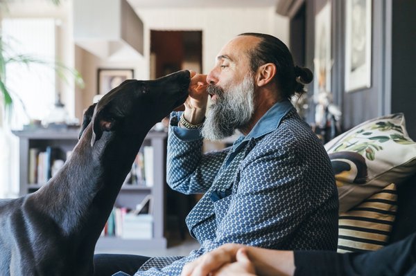 Oreille de bœuf pour chien : une friandise naturelle et saine